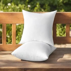 Throw Pillows (Option: 20x26 2pack)